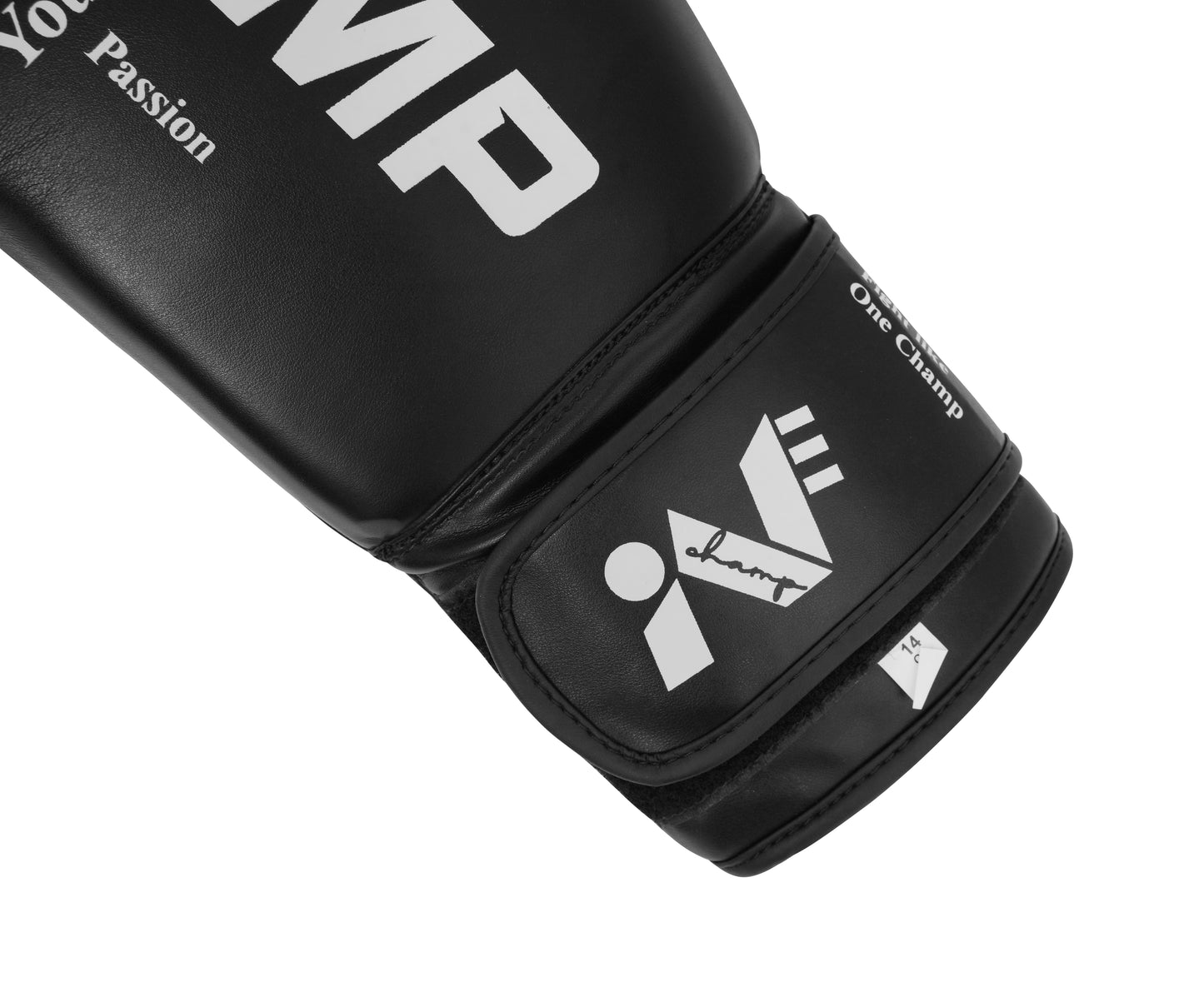 One Champ boxing gloves