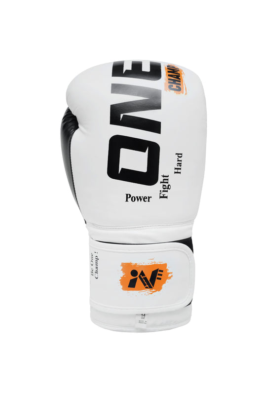 One Champ boxing gloves